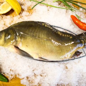 קרפיון טחון עם עצם