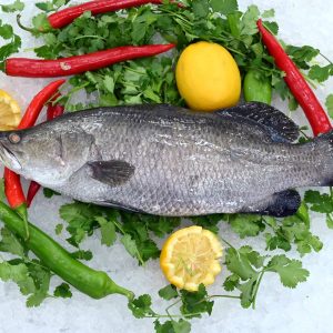 ברמונדי טחון 1 ק"ג נטו