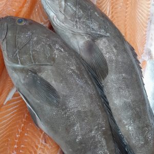 לוקוס לבן טחון 1 ק"ג נטו