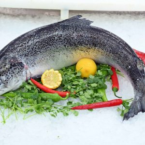 סלמון טרי שלם