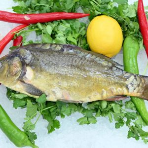 קרפיון טחון פילה  בלי בעור 1 ק"ג נטו